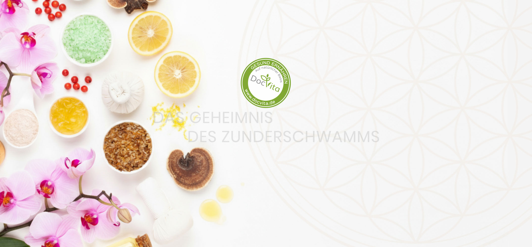 DocVita Der erste Schritt in unsere Welt