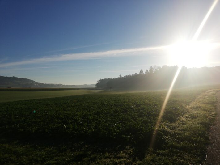 16613195937404684077773987058238