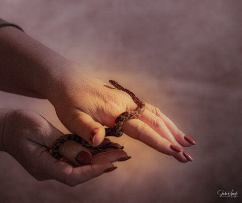 9ECF7068-21F2-4B6E-A47B-41A6DA025C63