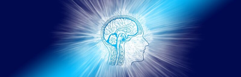 intelligence-4234824_960_720