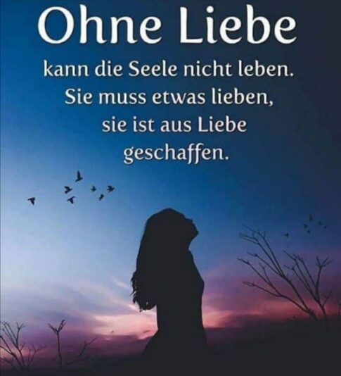 Screenshot_20211128_074853